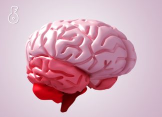 สมอง ต้องการกลูโคสจากการทานคาร์โบไฮเดรตเท่านั้นจริงหรือ?